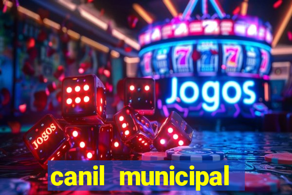 canil municipal porto alegre